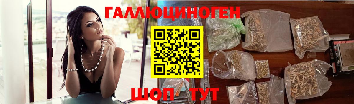 Псилоцибиновые грибы Psilocybine cubensis  Вход с VPN  Феодосия  Псилоцибиновые грибы Psilocybe 